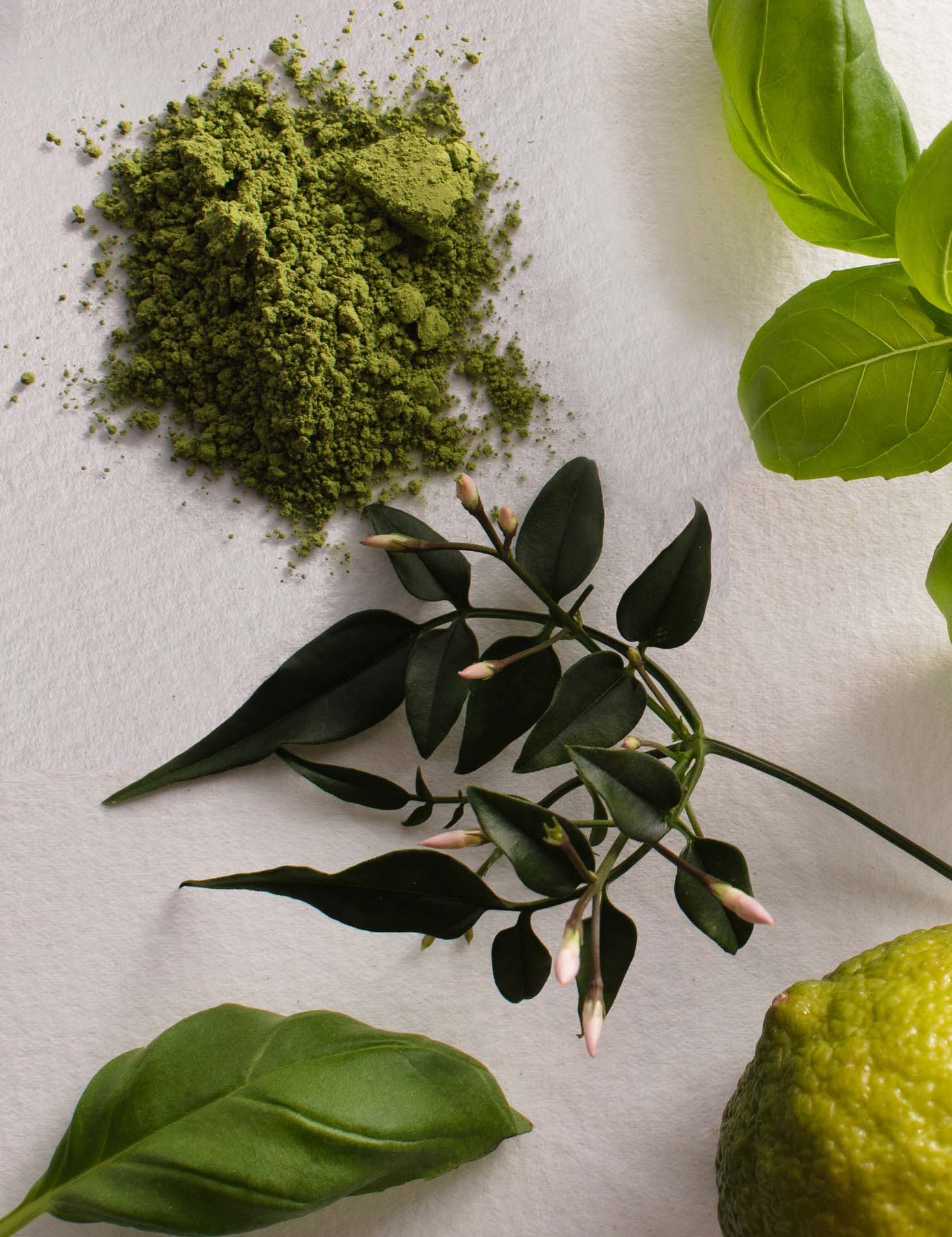 Unveiling the Top Fragrance Notes: Top Trends and Popular Scents