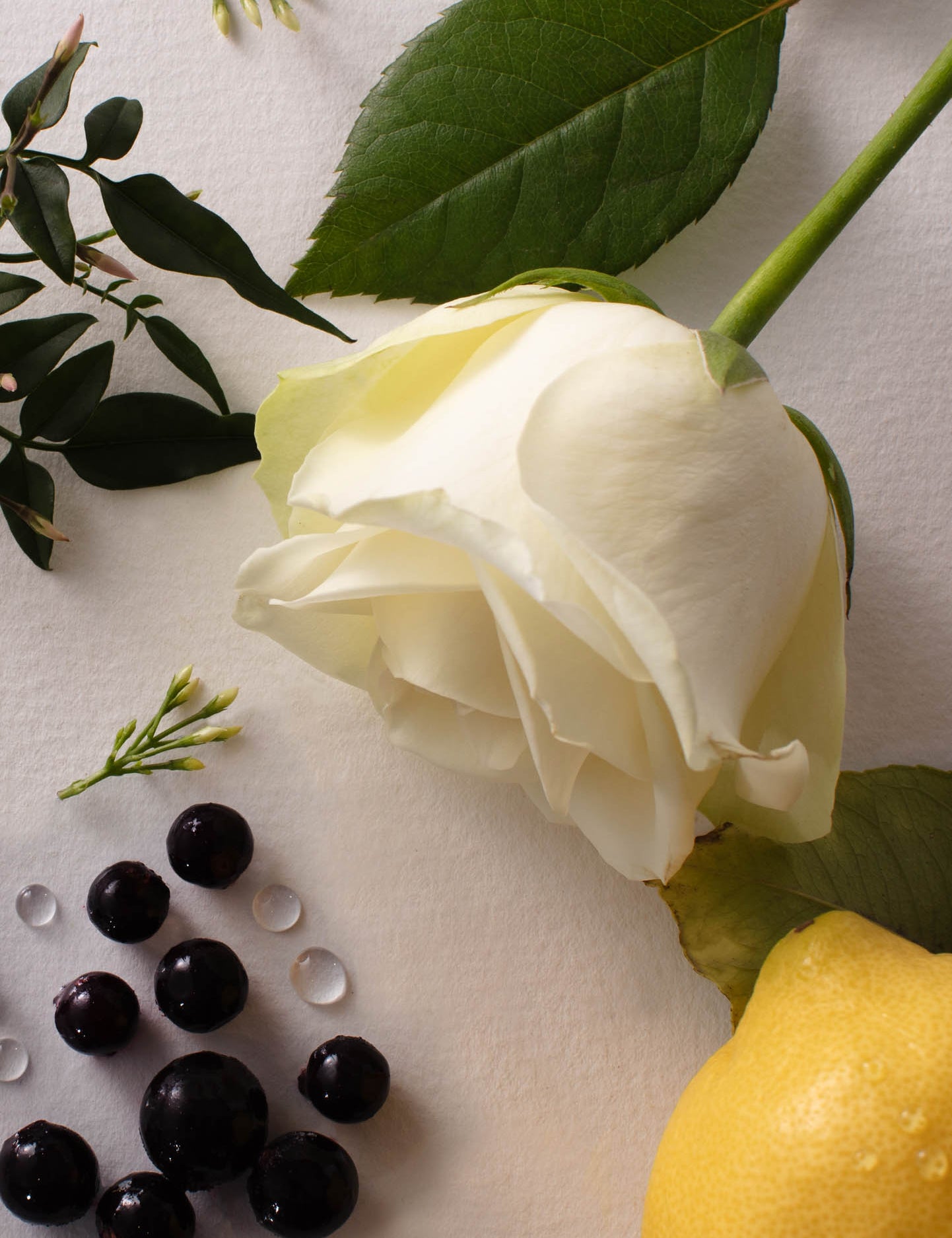 Perfume Notes: Understanding Scents from Top to Base