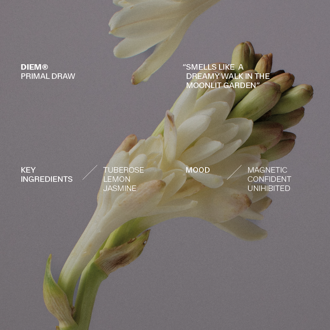 DIEM-SOCIAL-TEMPLATES2.png