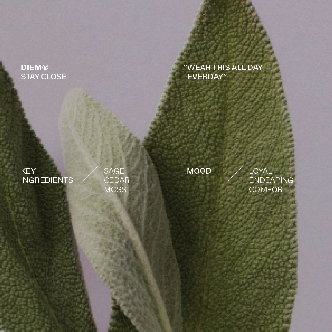 DIEM-SOCIAL-TEMPLATES6.png