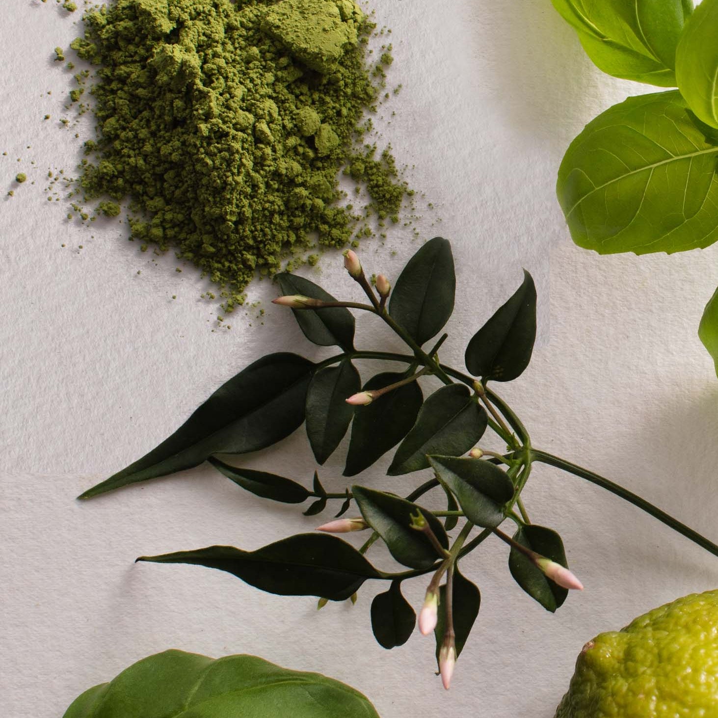 Unveiling the Top Fragrance Notes: Top Trends and Popular Scents