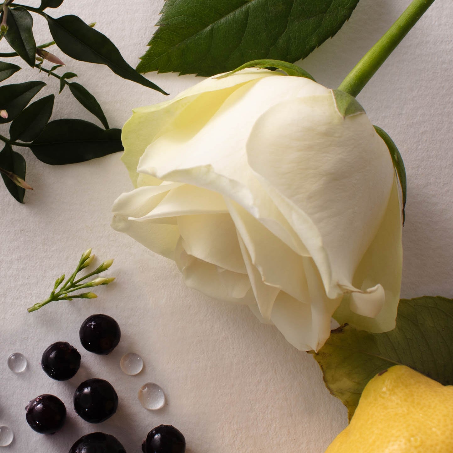 Perfume Notes: Understanding Scents from Top to Base