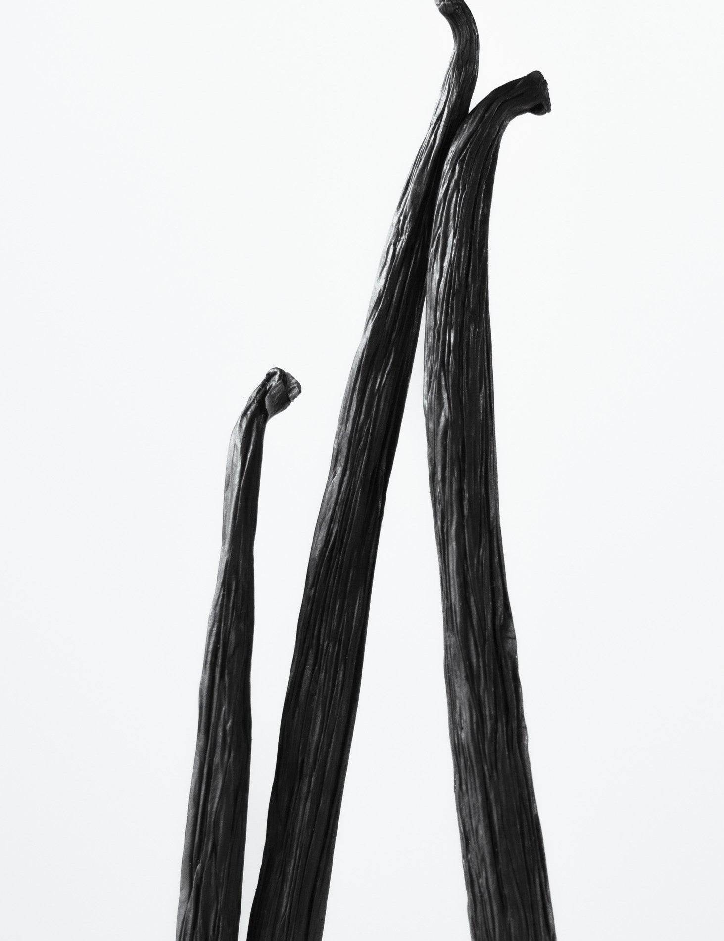 Vanilla