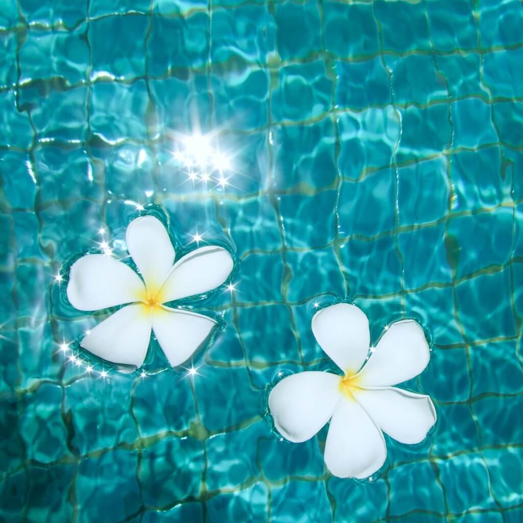 Summer Perfumes & Fragrances