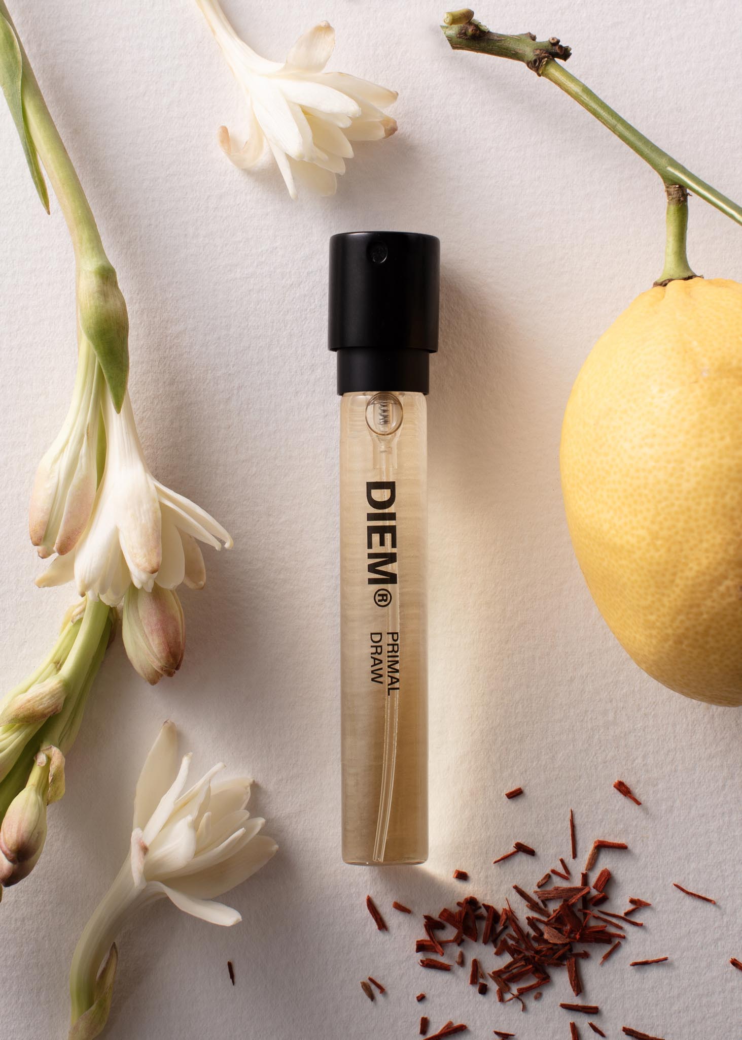 Primal Draw Eau de Parfum - 10ml Refillable Fragrance – Diem Scents
