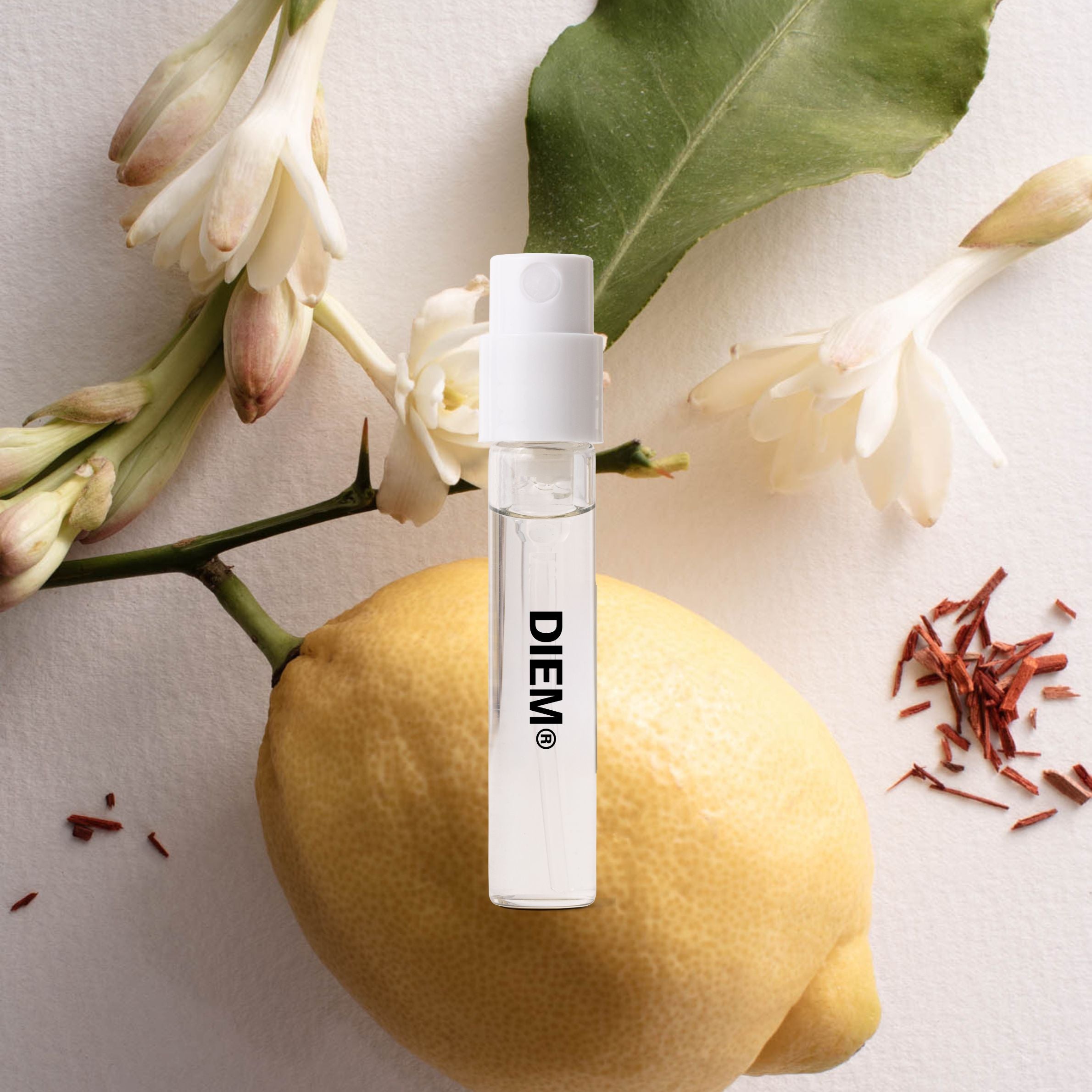 Primal Draw Primal Draw Eau de Parfum - 10ml Refillable Fragrance – Diem Scents