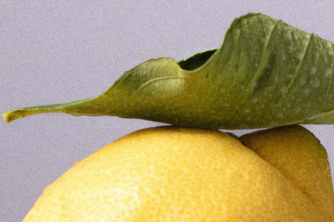 citrus.jpg